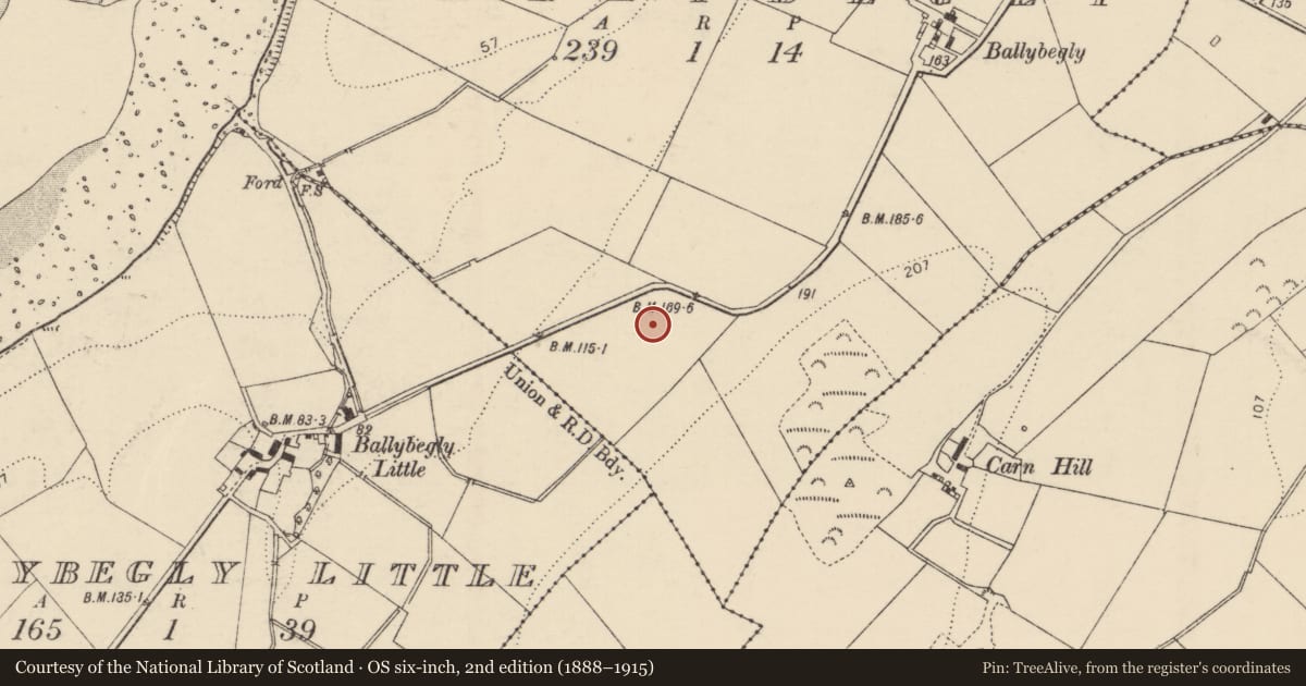 Ordnance Survey six-inch map, 2nd edition (1888–1915) covering the location of Enclosure, Ballybegly, County Donegal, with a pin at the register's coordinates