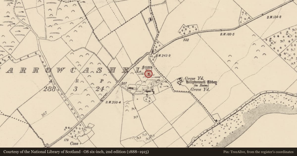 Ordnance Survey six-inch map, 2nd edition (1888–1915) covering the location of Anomalous stone group, Carrowcashel, County Donegal, with a pin at the register's coordinates