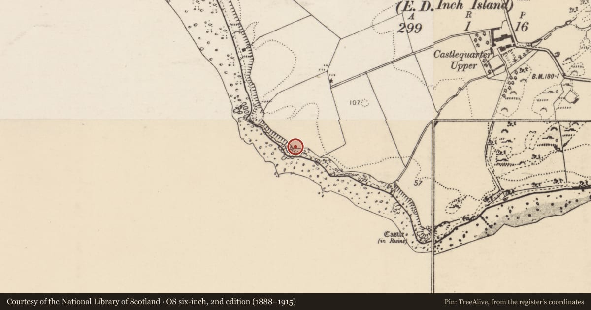 Ordnance Survey six-inch map, 2nd edition (1888–1915) covering the location of Midden, Castlequarter, County Donegal, with a pin at the register's coordinates