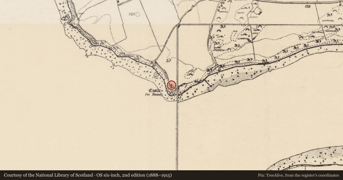 Ordnance Survey six-inch map, 2nd edition (1888–1915) covering the location of Midden, Castlequarter, County Donegal, with a pin at the register's coordinates