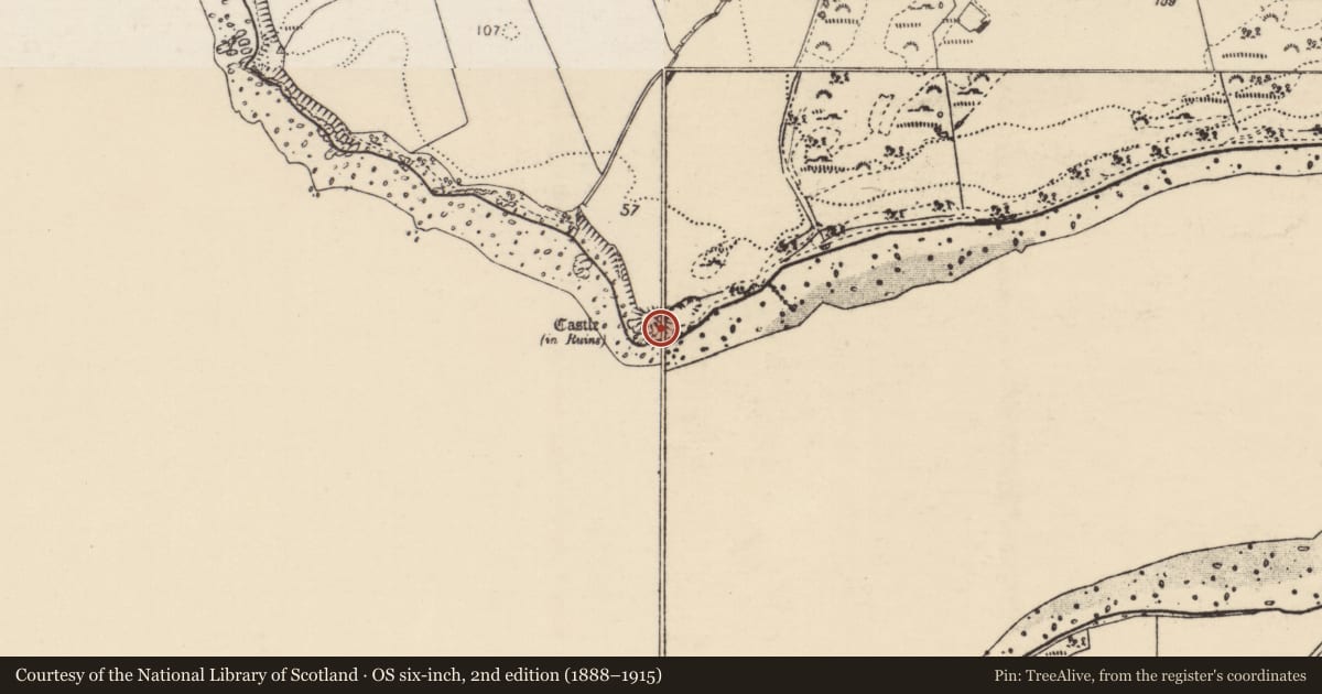Ordnance Survey six-inch map, 2nd edition (1888–1915) covering the location of Midden, Castlequarter, County Donegal, with a pin at the register's coordinates
