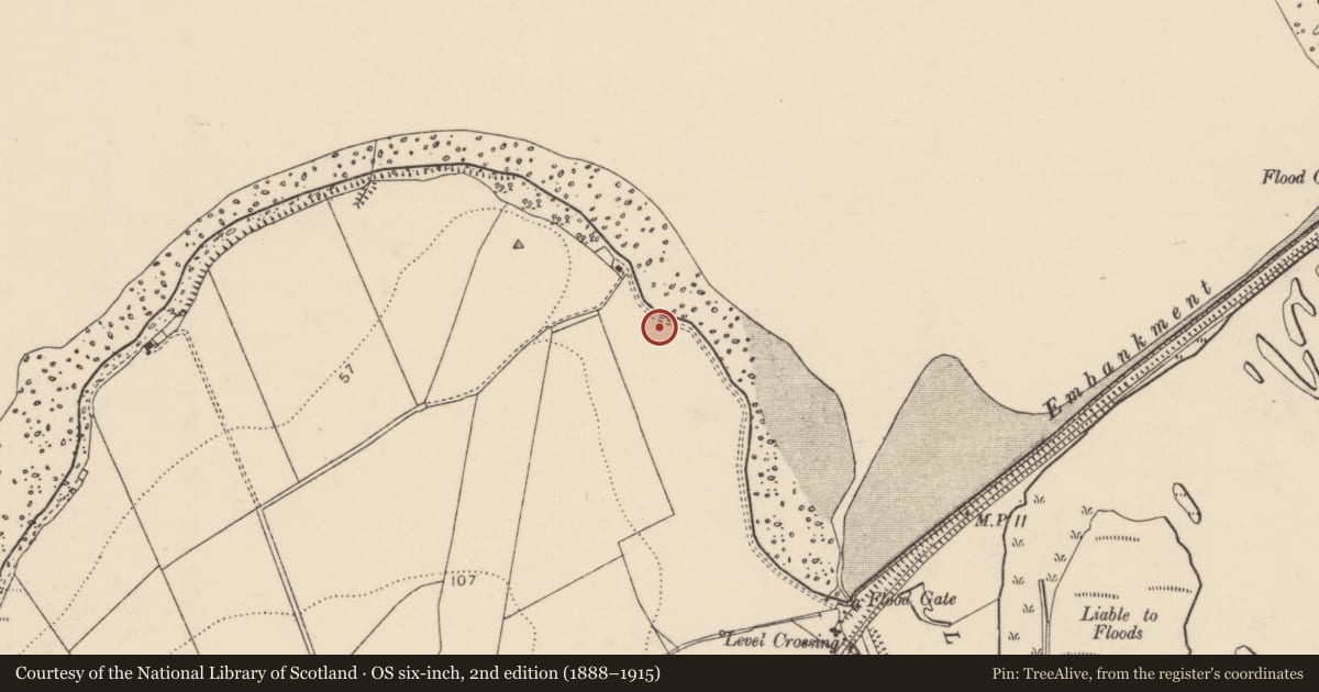 Ordnance Survey six-inch map, 2nd edition (1888–1915) covering the location of Midden, Drumboy, County Donegal, with a pin at the register's coordinates