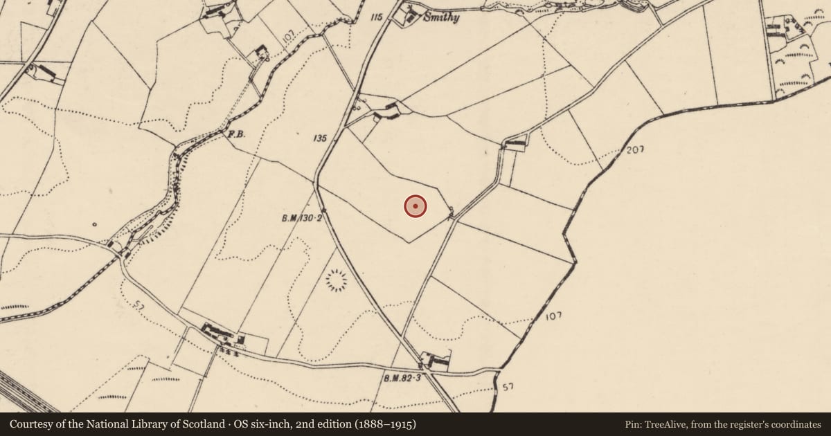 Ordnance Survey six-inch map, 2nd edition (1888–1915) covering the location of Ringfort - unclassified, Dundrean, County Donegal, with a pin at the register's coordinates