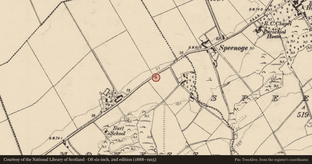 Ordnance Survey six-inch map, 2nd edition (1888–1915) covering the location of Souterrain, Moness, County Donegal, with a pin at the register's coordinates
