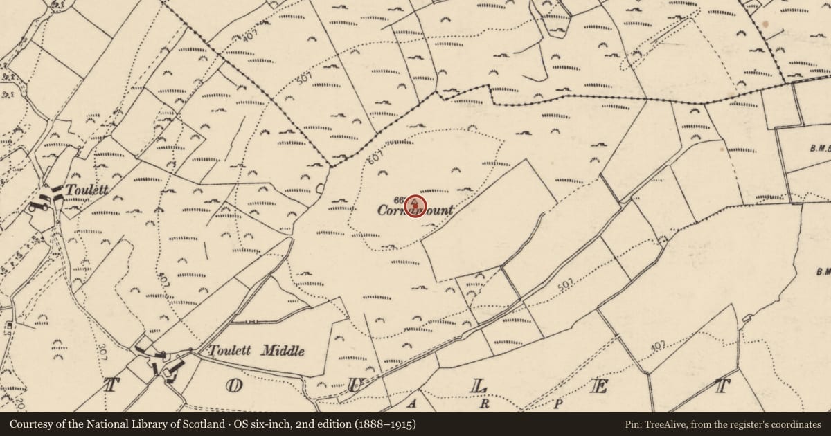 Ordnance Survey six-inch map, 2nd edition (1888–1915) covering the location of Cross-inscribed stone, Toulett, County Donegal, with a pin at the register's coordinates