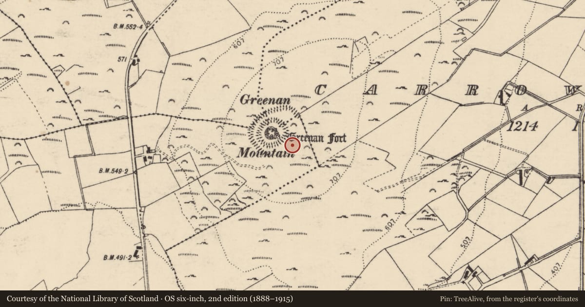 Ordnance Survey six-inch map, 2nd edition (1888–1915) covering the location of Cairn - burial cairn, Toulett, County Donegal, with a pin at the register's coordinates