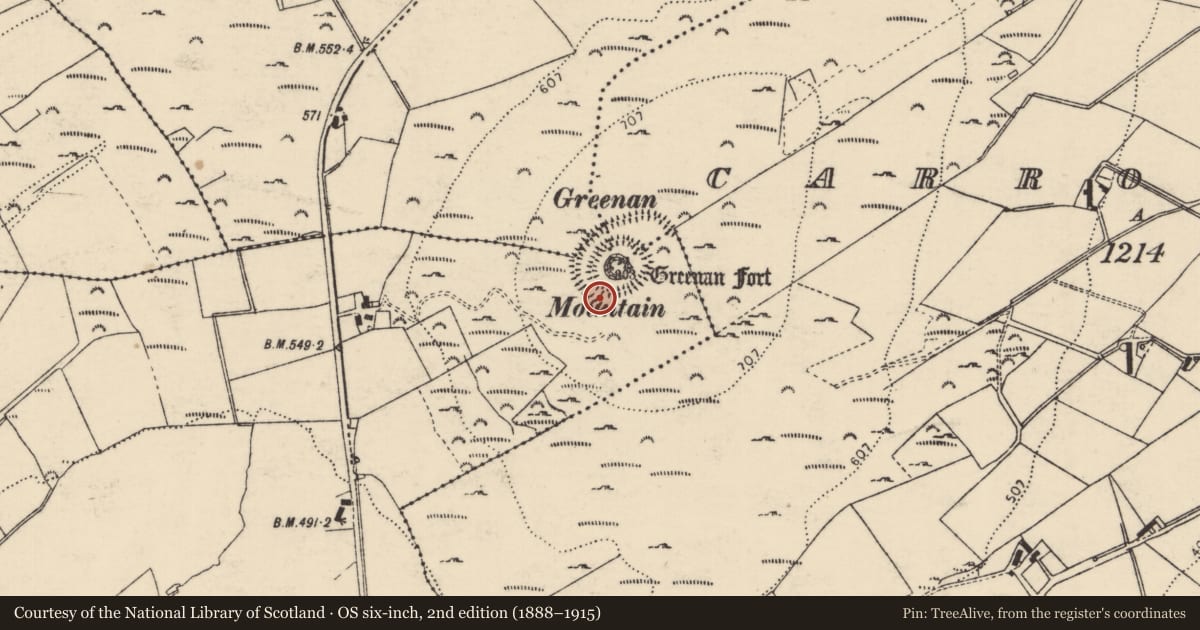 Ordnance Survey six-inch map, 2nd edition (1888–1915) covering the location of Ritual site - holy well, Toulett, County Donegal, with a pin at the register's coordinates