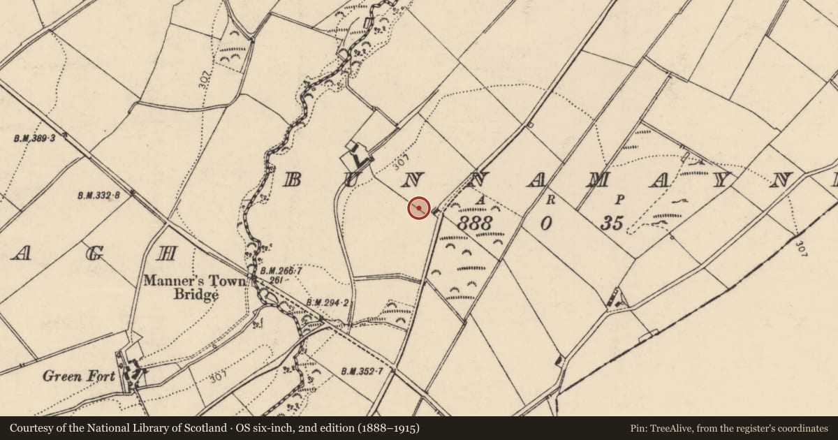 Ordnance Survey six-inch map, 2nd edition (1888–1915) covering the location of Ringfort - rath, Bunnamayne, County Donegal, with a pin at the register's coordinates