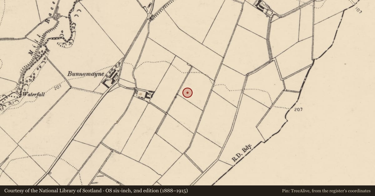 Ordnance Survey six-inch map, 2nd edition (1888–1915) covering the location of Cist, Bunnamayne, County Donegal, with a pin at the register's coordinates