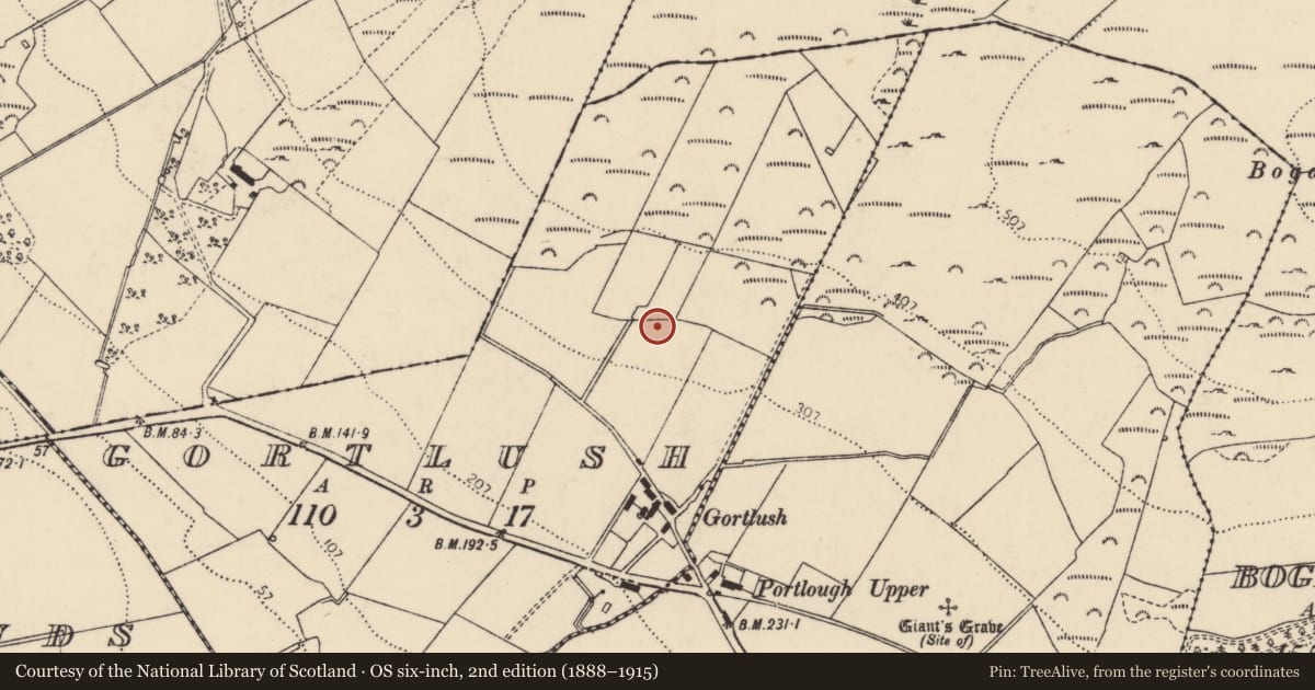 Ordnance Survey six-inch map, 2nd edition (1888–1915) covering the location of Cist, Gortlush, County Donegal, with a pin at the register's coordinates