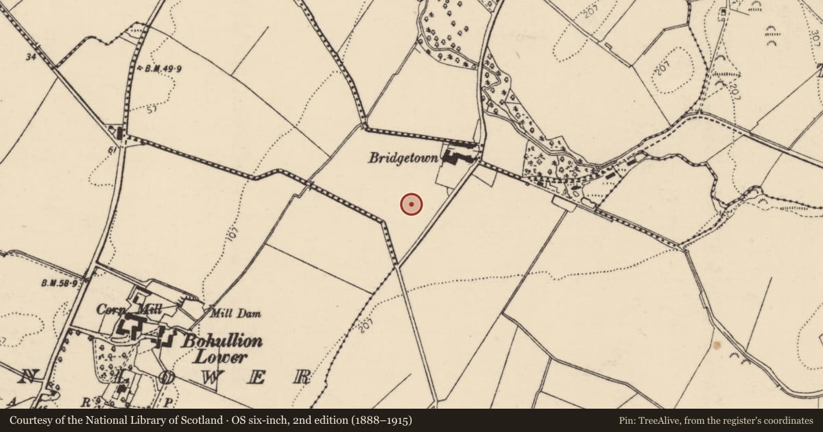 Ordnance Survey six-inch map, 2nd edition (1888–1915) covering the location of Cist, Bohullion Upper, County Donegal, with a pin at the register's coordinates