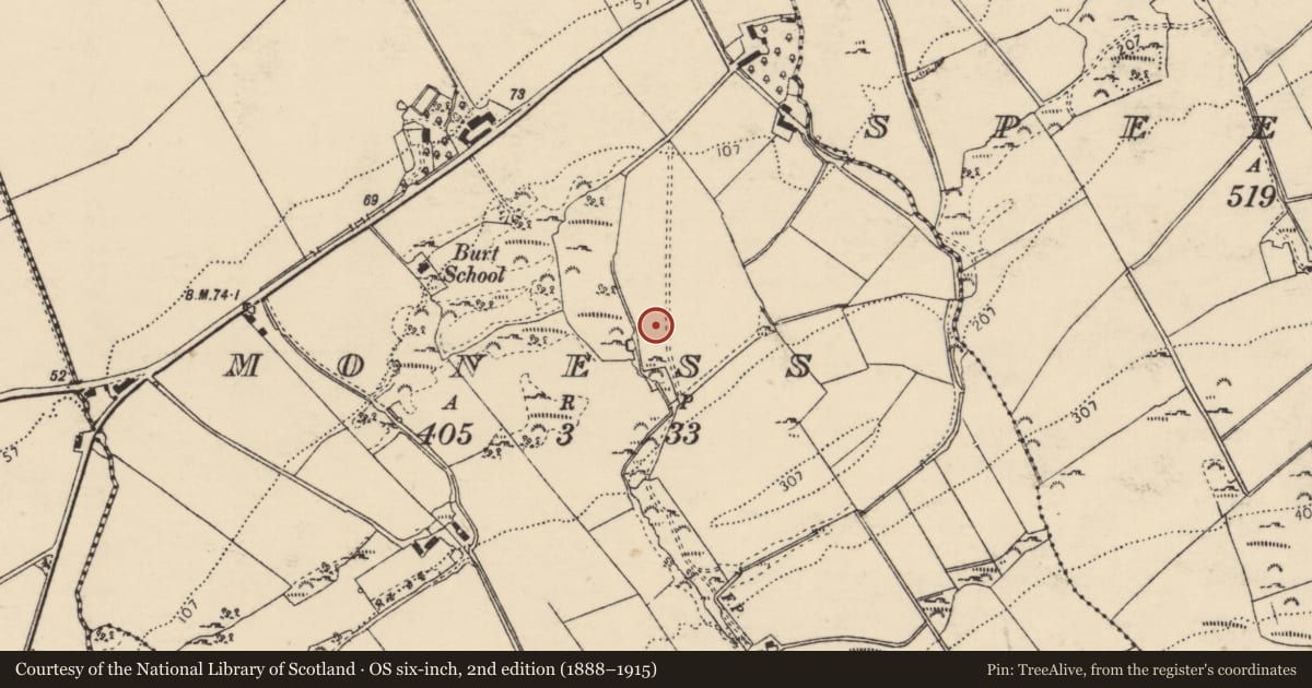 Ordnance Survey six-inch map, 2nd edition (1888–1915) covering the location of Souterrain, Moness, County Donegal, with a pin at the register's coordinates
