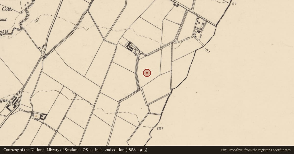 Ordnance Survey six-inch map, 2nd edition (1888–1915) covering the location of Souterrain, Bunnamayne, County Donegal, with a pin at the register's coordinates
