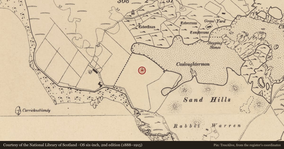 Ordnance Survey six-inch map, 2nd edition (1888–1915) covering the location of Stone circle - embanked, An MacHaire, County Donegal, with a pin at the register's coordinates