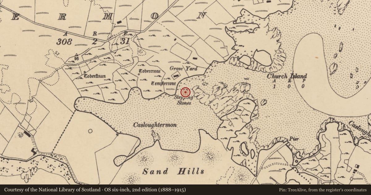 Ordnance Survey six-inch map, 2nd edition (1888–1915) covering the location of Causeway, An MacHaire, An Tearmann, County Donegal, with a pin at the register's coordinates