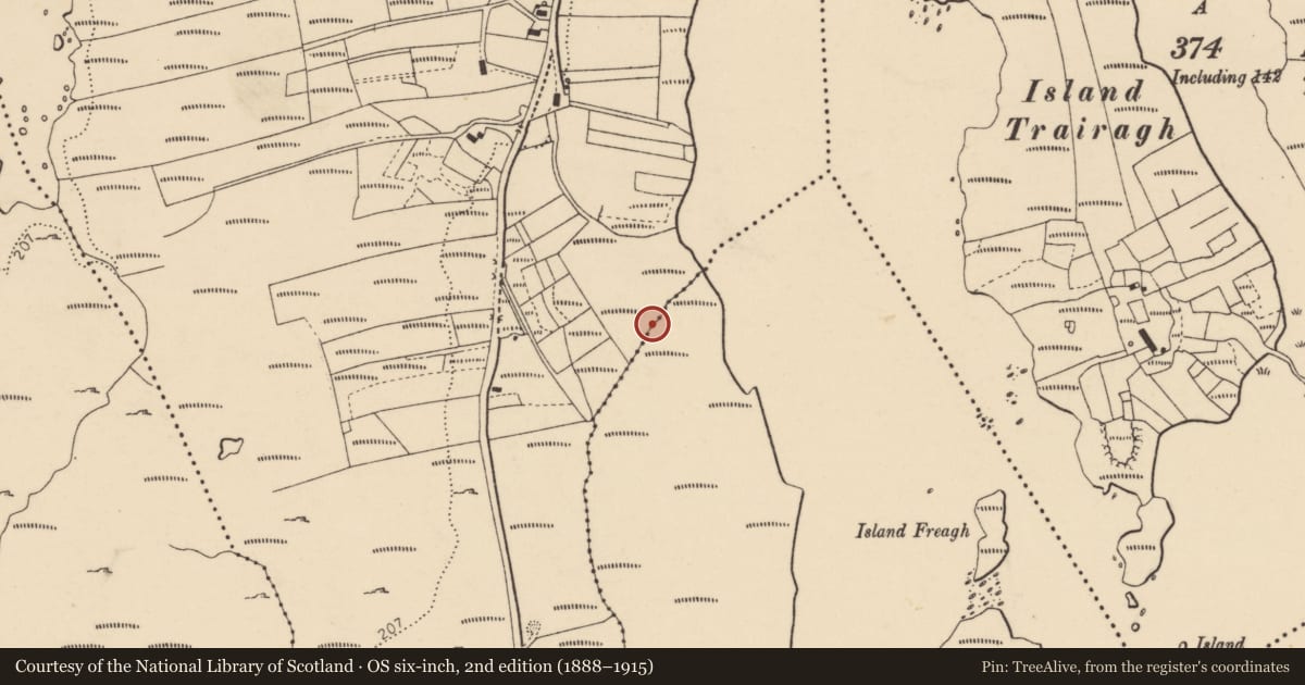 Ordnance Survey six-inch map, 2nd edition (1888–1915) covering the location of Burial ground, Loch An Iúir, County Donegal, with a pin at the register's coordinates