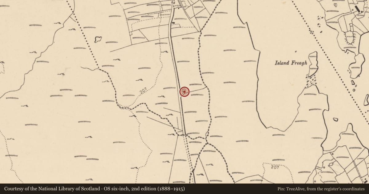 Ordnance Survey six-inch map, 2nd edition (1888–1915) covering the location of Ringfort - cashel, Loch An Iúir, County Donegal, with a pin at the register's coordinates