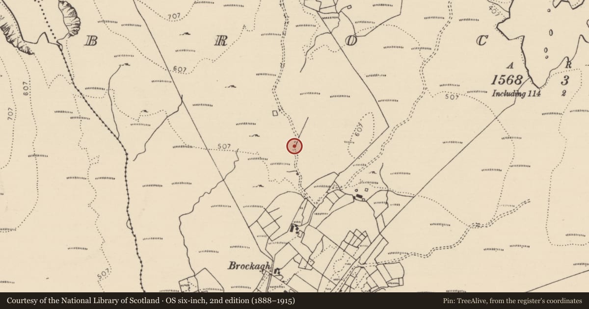 Ordnance Survey six-inch map, 2nd edition (1888–1915) covering the location of Kiln - lime, Brockagh, County Donegal, with a pin at the register's coordinates