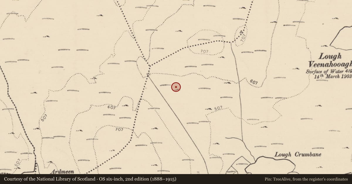 Ordnance Survey six-inch map, 2nd edition (1888–1915) covering the location of Structure, Brockagh, County Donegal, with a pin at the register's coordinates