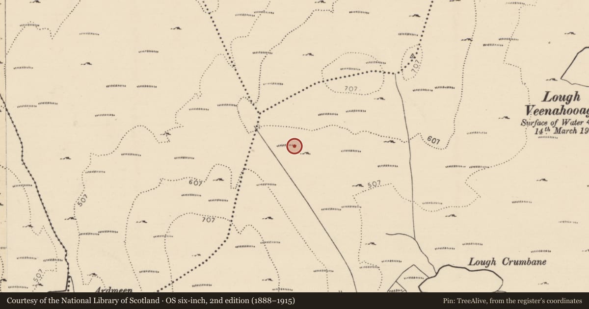 Ordnance Survey six-inch map, 2nd edition (1888–1915) covering the location of Structure, Brockagh, County Donegal, with a pin at the register's coordinates