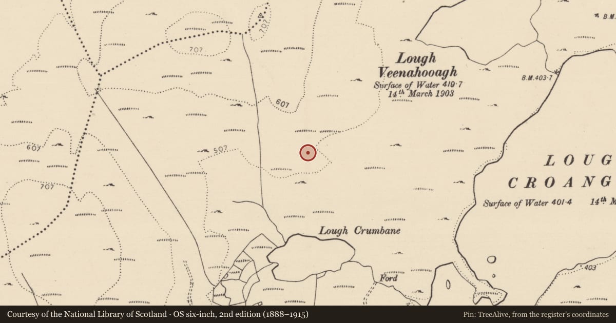 Ordnance Survey six-inch map, 2nd edition (1888–1915) covering the location of Structure, Brockagh, County Donegal, with a pin at the register's coordinates