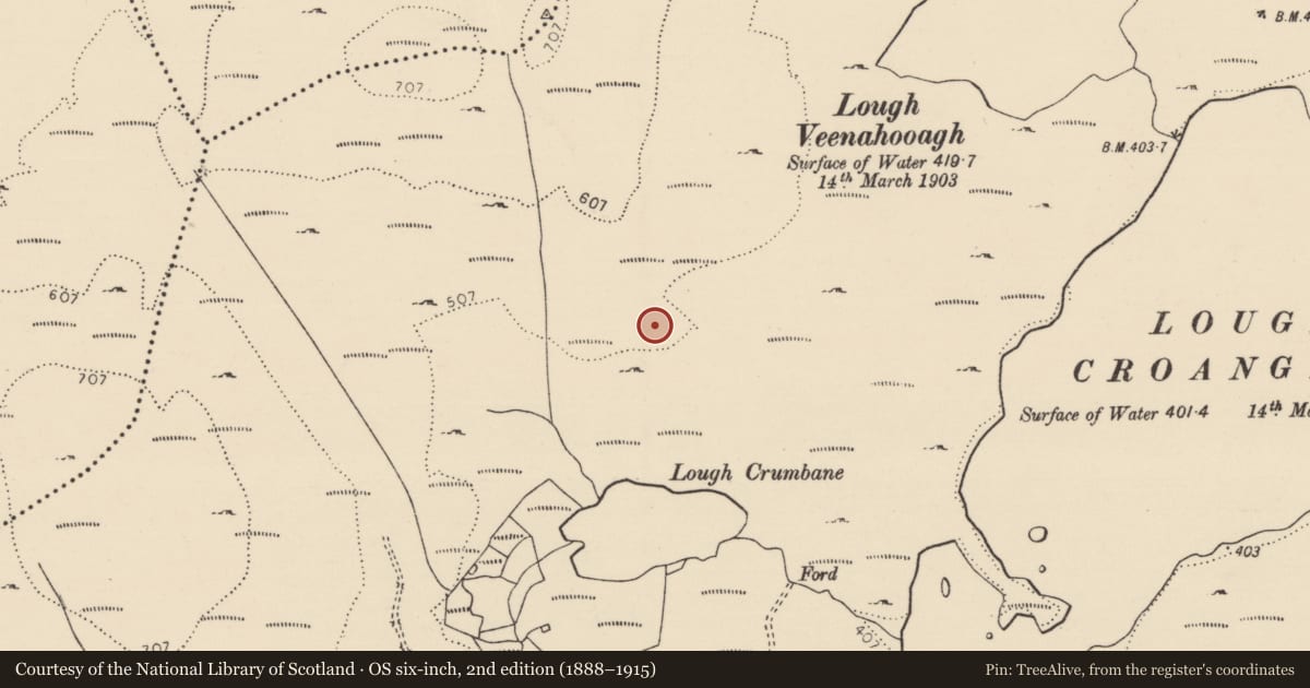 Ordnance Survey six-inch map, 2nd edition (1888–1915) covering the location of Anomalous stone group, Brockagh, County Donegal, with a pin at the register's coordinates
