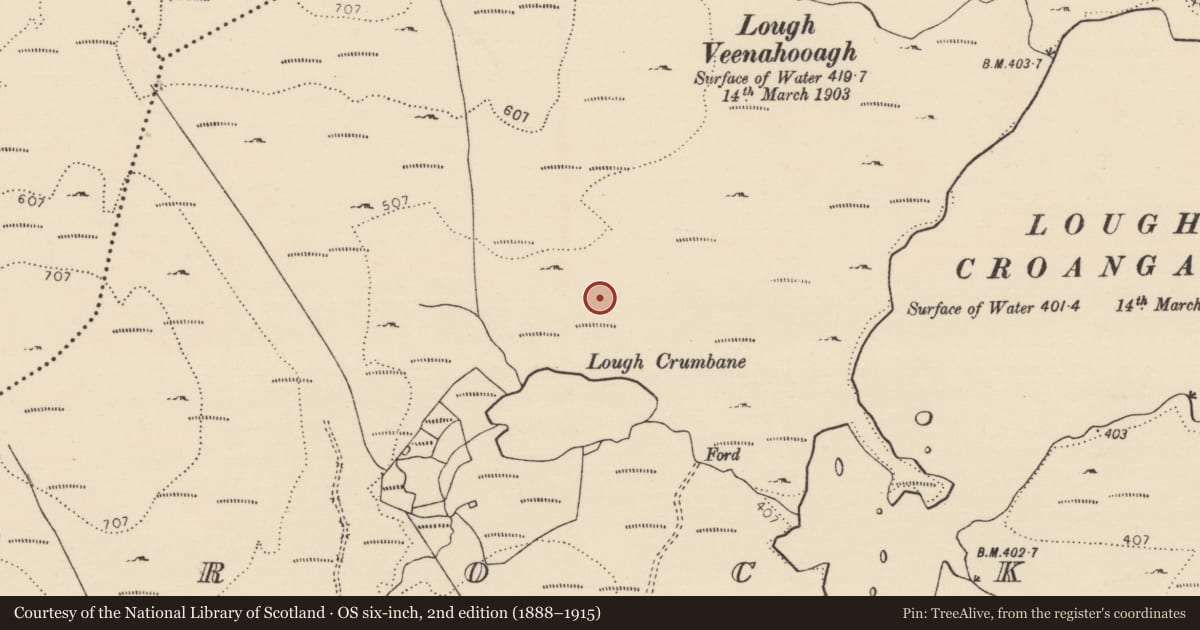 Ordnance Survey six-inch map, 2nd edition (1888–1915) covering the location of Structure, Brockagh, County Donegal, with a pin at the register's coordinates