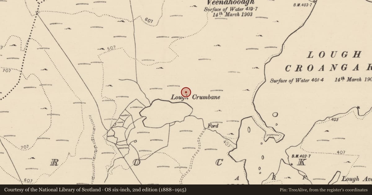 Ordnance Survey six-inch map, 2nd edition (1888–1915) covering the location of Anomalous stone group, Brockagh, County Donegal, with a pin at the register's coordinates