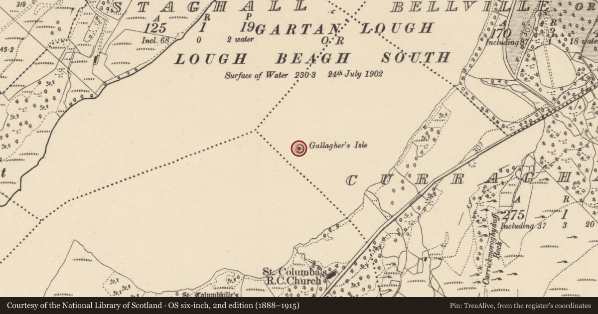 Ordnance Survey six-inch map, 2nd edition (1888–1915) covering the location of Crannog, Curraghavogy, County Donegal, with a pin at the register's coordinates