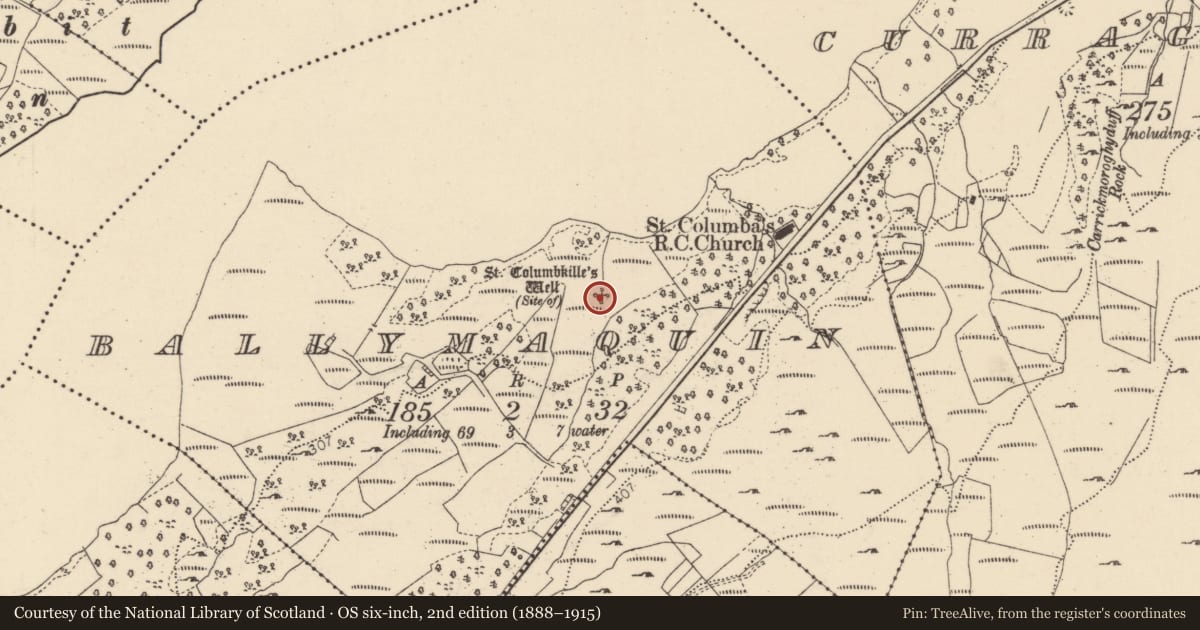 Ordnance Survey six-inch map, 2nd edition (1888–1915) covering the location of Ritual site - holy well, Ballymaquin, County Donegal, with a pin at the register's coordinates