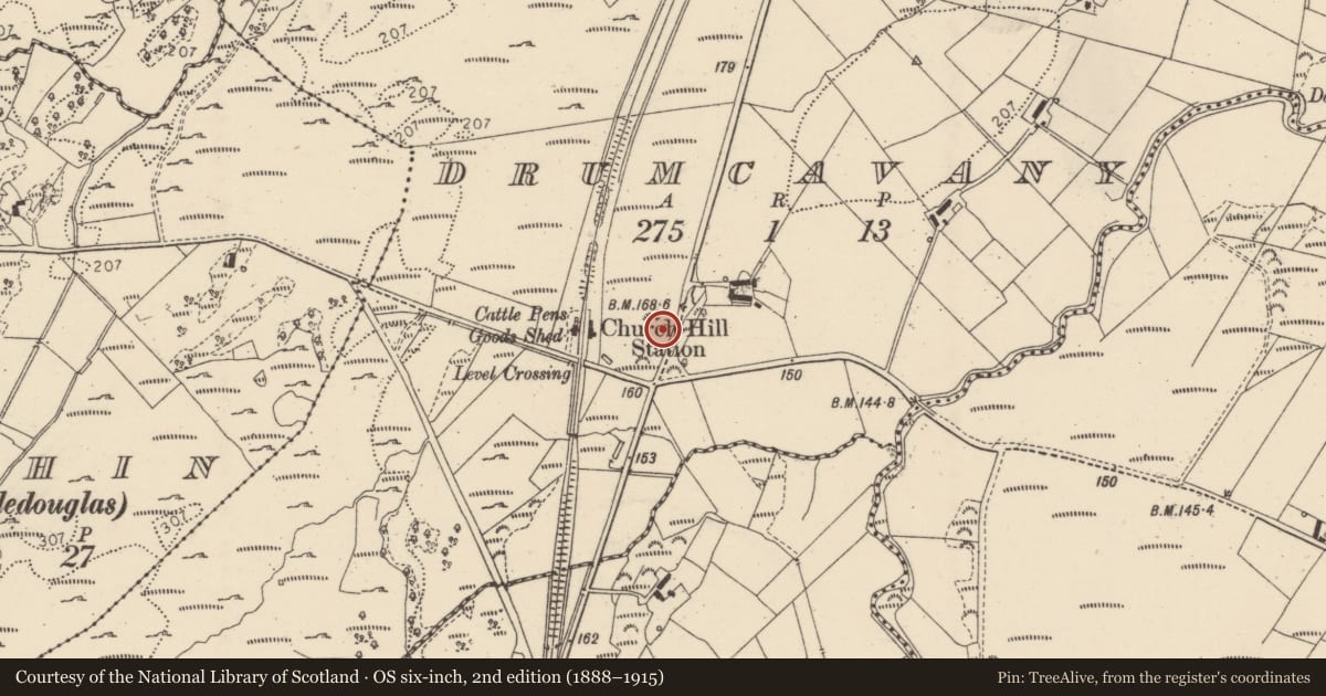Ordnance Survey six-inch map, 2nd edition (1888–1915) covering the location of Bullaun stone, Drumcavany, County Donegal, with a pin at the register's coordinates
