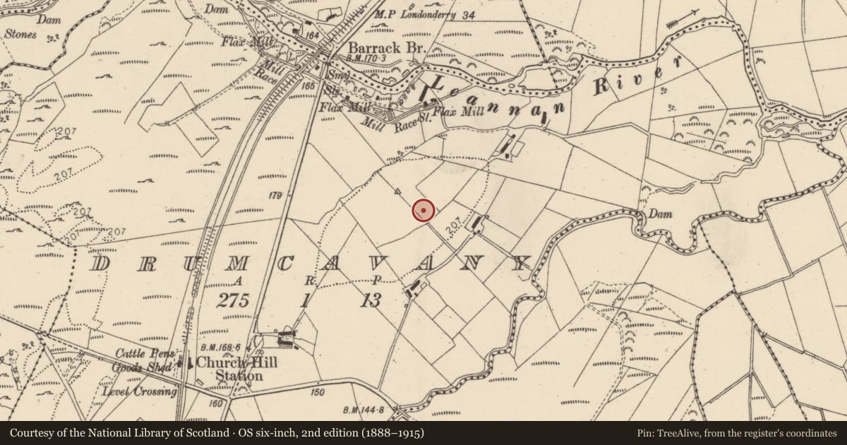 Ordnance Survey six-inch map, 2nd edition (1888–1915) covering the location of Ringfort - unclassified, Drumcavany, County Donegal, with a pin at the register's coordinates