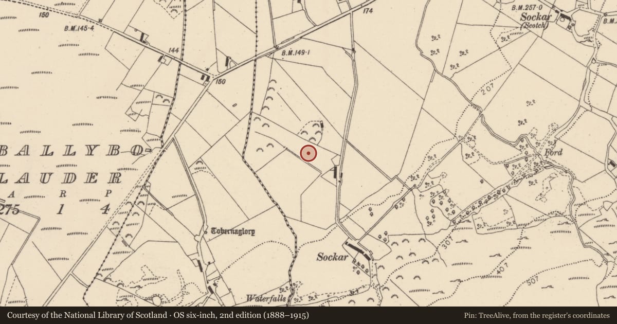 Ordnance Survey six-inch map, 2nd edition (1888–1915) covering the location of Standing stone, Sockar, County Donegal, with a pin at the register's coordinates