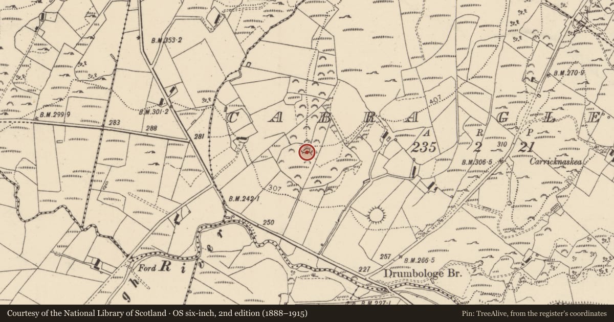 Ordnance Survey six-inch map, 2nd edition (1888–1915) covering the location of Ringfort - unclassified, Cabra Glebe, County Donegal, with a pin at the register's coordinates
