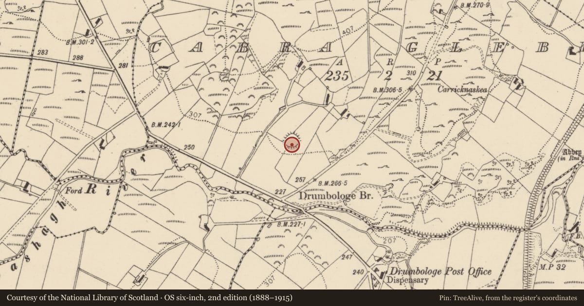 Ordnance Survey six-inch map, 2nd edition (1888–1915) covering the location of Ringfort - rath, Cabra Glebe, County Donegal, with a pin at the register's coordinates