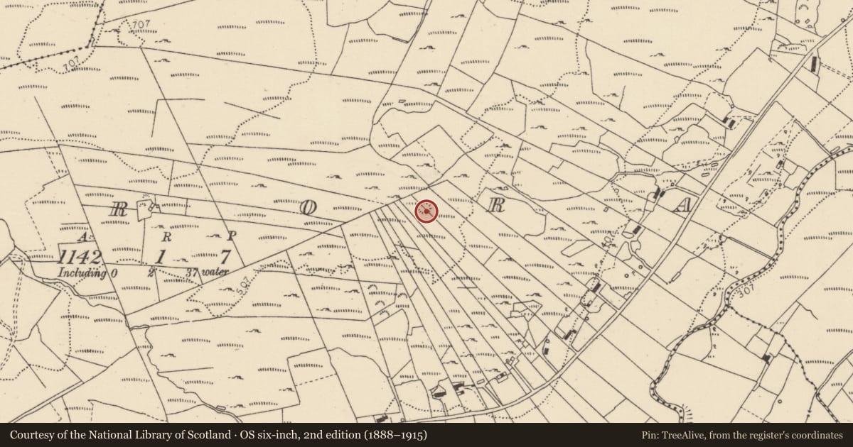 Ordnance Survey six-inch map, 2nd edition (1888–1915) covering the location of Ringfort - cashel, Derrora, County Donegal, with a pin at the register's coordinates