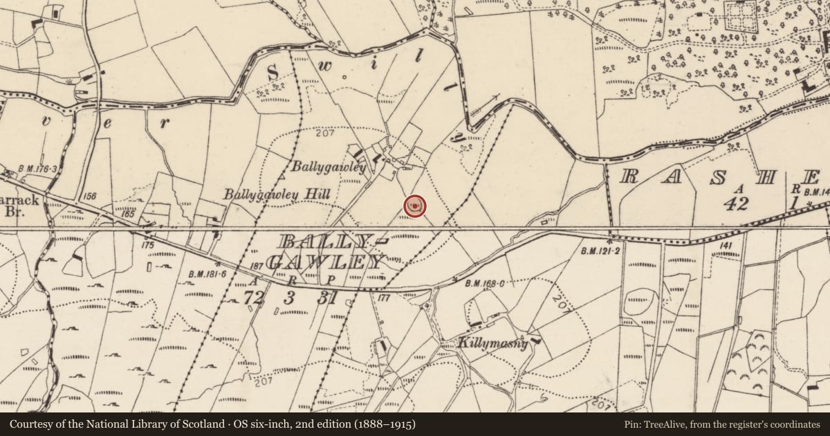 Ordnance Survey six-inch map, 2nd edition (1888–1915) covering the location of Ringfort - cashel, Ballygawley, County Donegal, with a pin at the register's coordinates
