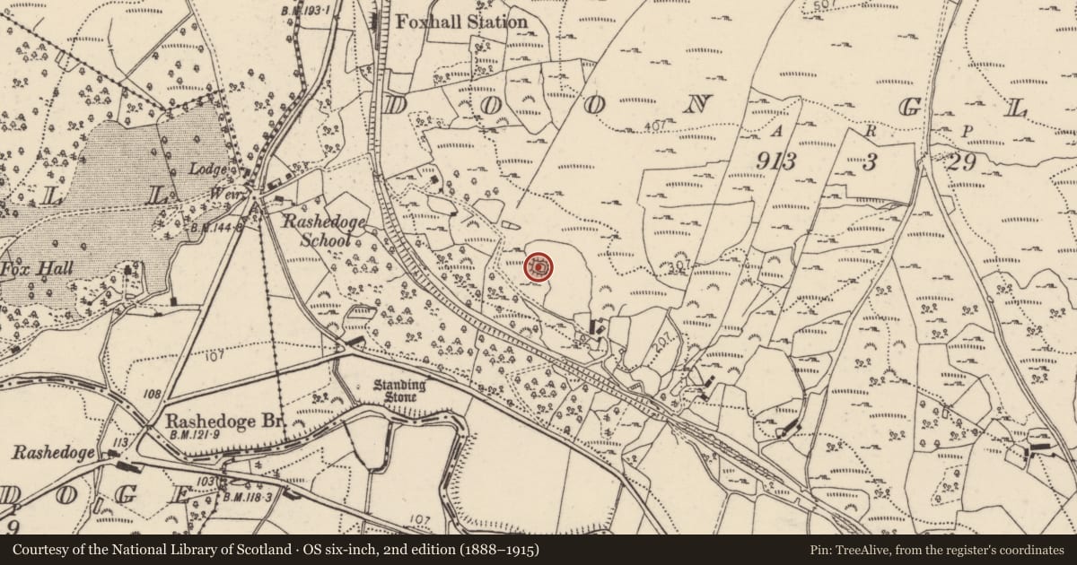 Ordnance Survey six-inch map, 2nd edition (1888–1915) covering the location of Ringfort - cashel, Doon Glebe, County Donegal, with a pin at the register's coordinates