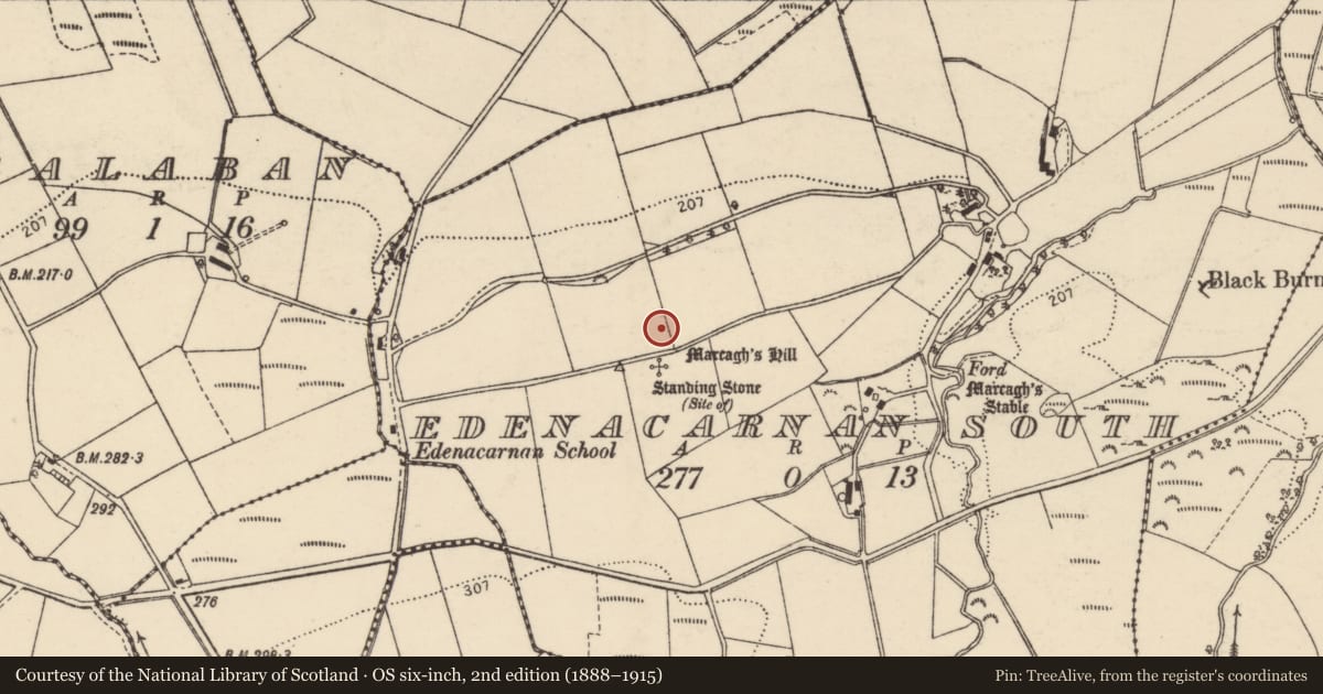 Ordnance Survey six-inch map, 2nd edition (1888–1915) covering the location of Cairn - unclassified, Edenacarnan South, County Donegal, with a pin at the register's coordinates