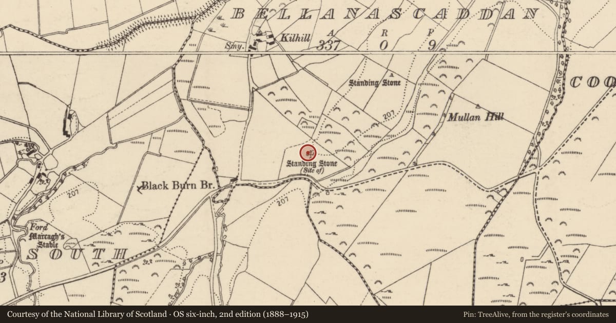 Ordnance Survey six-inch map, 2nd edition (1888–1915) covering the location of Standing stone, Bellanascaddan, County Donegal, with a pin at the register's coordinates