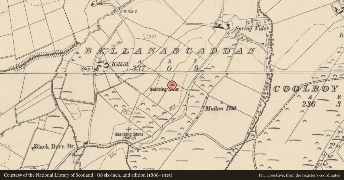 Ordnance Survey six-inch map, 2nd edition (1888–1915) covering the location of Standing stone, Bellanascaddan, County Donegal, with a pin at the register's coordinates