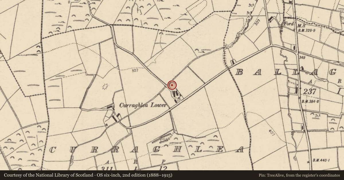 Ordnance Survey six-inch map, 2nd edition (1888–1915) covering the location of Ringfort - rath, Curraghlea, County Donegal, with a pin at the register's coordinates