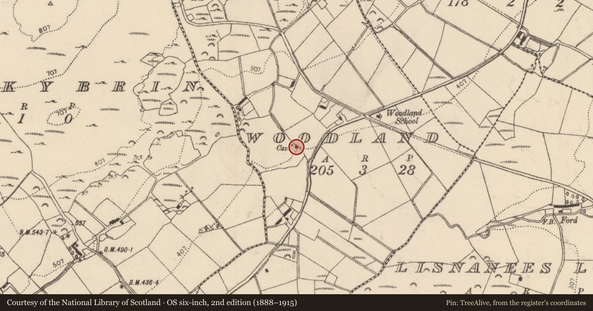 Ordnance Survey six-inch map, 2nd edition (1888–1915) covering the location of Souterrain, Woodland, County Donegal, with a pin at the register's coordinates