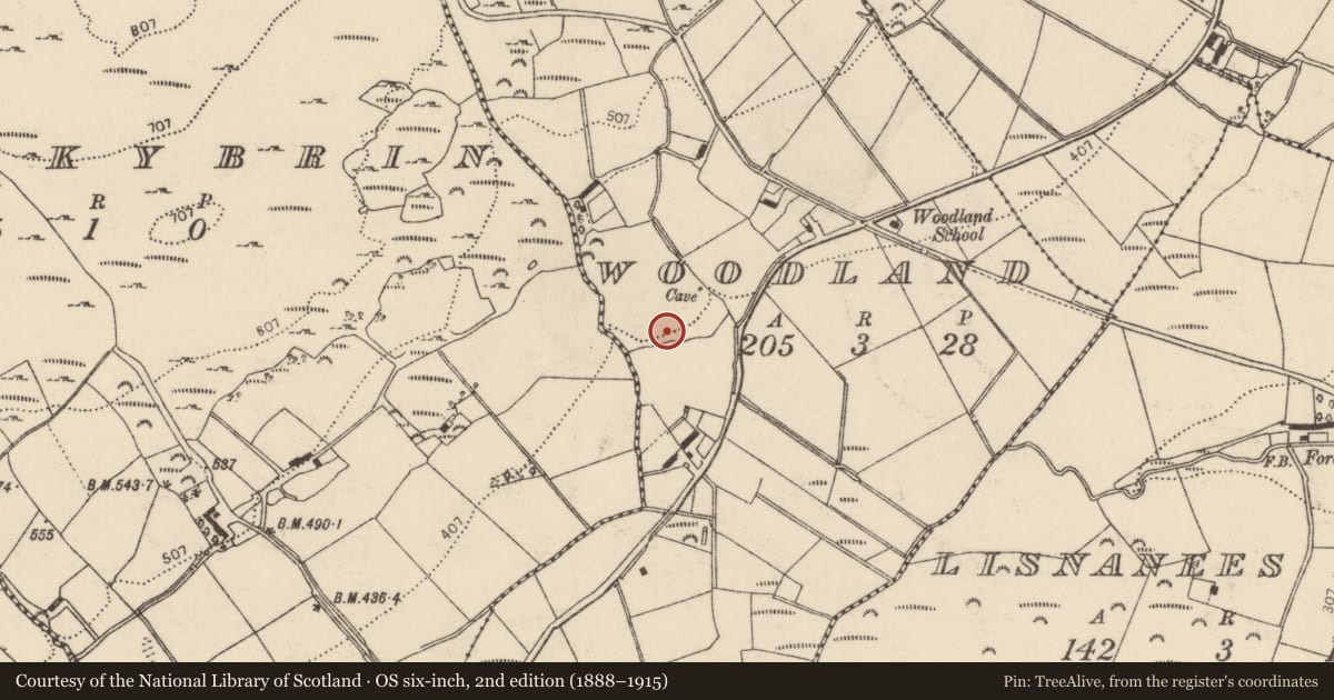 Ordnance Survey six-inch map, 2nd edition (1888–1915) covering the location of Souterrain, Woodland, County Donegal, with a pin at the register's coordinates