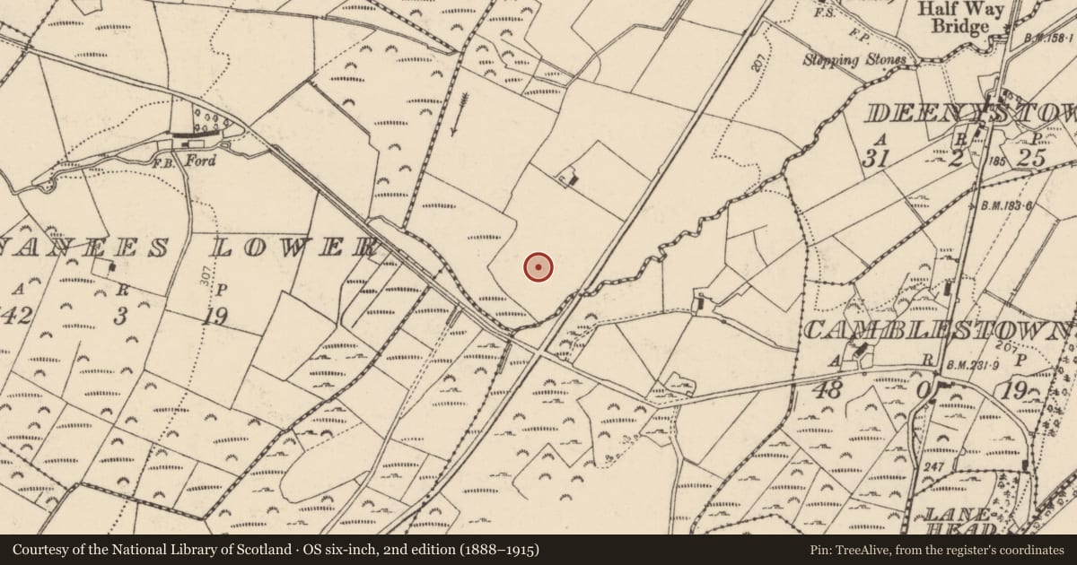 Ordnance Survey six-inch map, 2nd edition (1888–1915) covering the location of Standing stone, Ballymaleel, County Donegal, with a pin at the register's coordinates