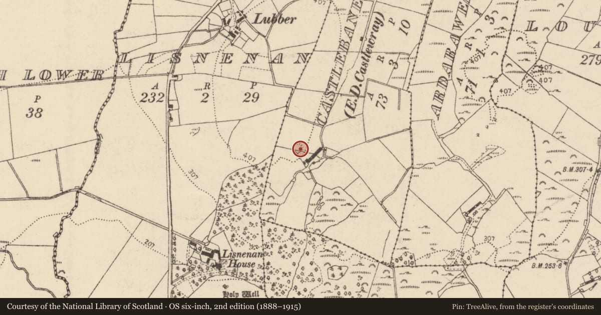 Ordnance Survey six-inch map, 2nd edition (1888–1915) covering the location of Ringfort - cashel, Castlebane, County Donegal, with a pin at the register's coordinates
