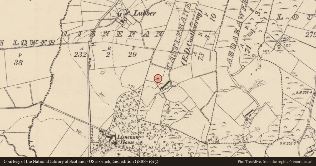 Ordnance Survey six-inch map, 2nd edition (1888–1915) covering the location of Rock art, Castlebane, County Donegal, with a pin at the register's coordinates