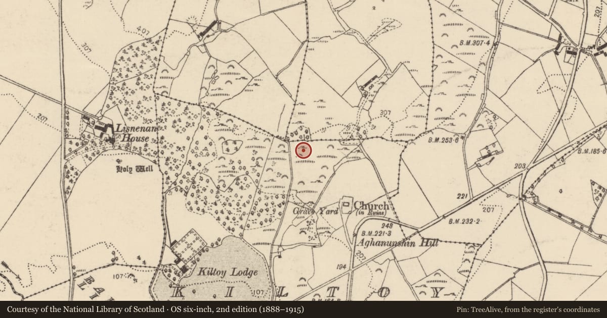 Ordnance Survey six-inch map, 2nd edition (1888–1915) covering the location of Bullaun stone, Kiltoy, County Donegal, with a pin at the register's coordinates