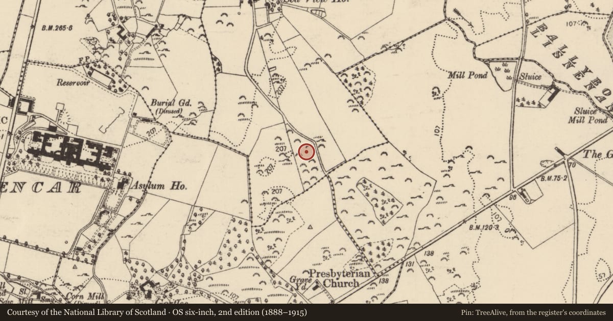 Ordnance Survey six-inch map, 2nd edition (1888–1915) covering the location of Bullaun stone, Carnamogagh Lower, County Donegal, with a pin at the register's coordinates