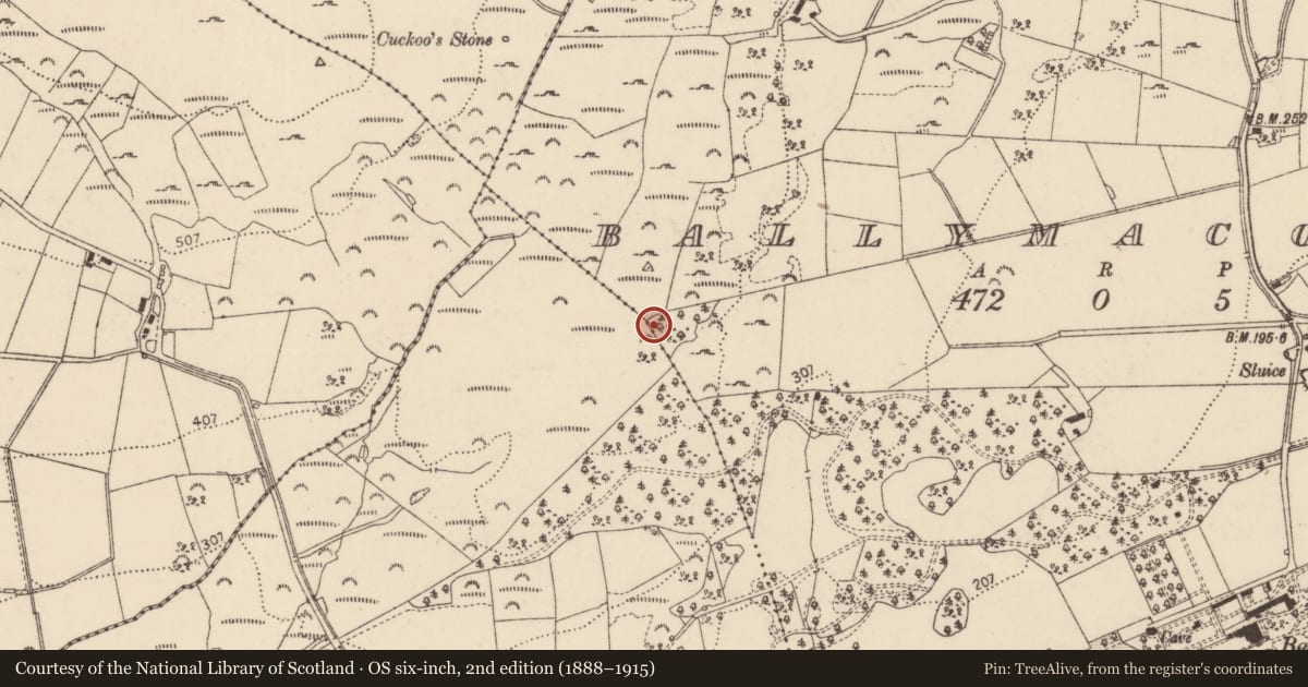 Ordnance Survey six-inch map, 2nd edition (1888–1915) covering the location of Ringfort - cashel, Ballymacool, County Donegal, with a pin at the register's coordinates